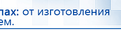 Электрод Скэнар - лицевой двойной Пешки купить в Армавире, Электроды Скэнар купить в Армавире, Скэнар официальный сайт - denasvertebra.ru